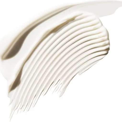 Treatment Leave-In Treatment Rich von Aveda