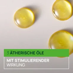 Triphasic Stimulierendes Shampoo bei Haarausfall von René Furterer