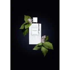 Van Cleef & Arpels Collection Extraordinaire Patchouli Blanc Eau de Parfum Spray