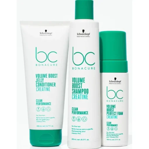 Volume Boost Perfect Foam von Schwarzkopf Professional