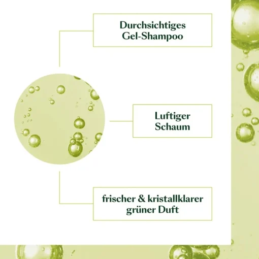 Volumea Shampoo von René Furterer