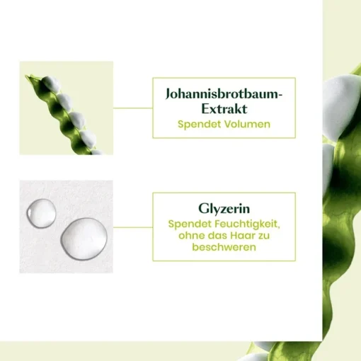 Volumea Shampoo von René Furterer