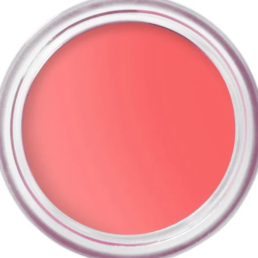 Wangen Pot Rouge Velvet Matte von Bobbi Brown