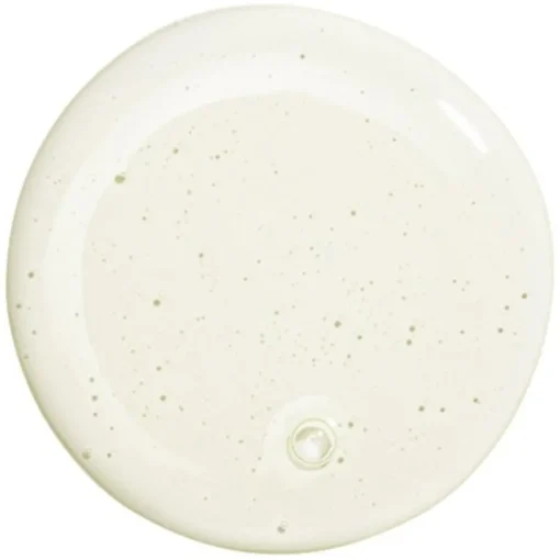 Waschen & Entwirren Gentle Purifying Shampoo von HAIR RITUEL by Sisley