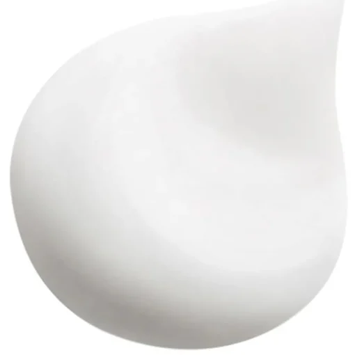 Waschen & Entwirren Revitalizing Smoothing Shampoo with Macadamia oil von HAIR RITUEL by Sisley