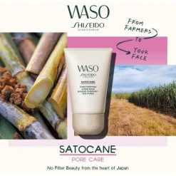 WASO Satocane Pore Purifying Scrub Mask von Shiseido