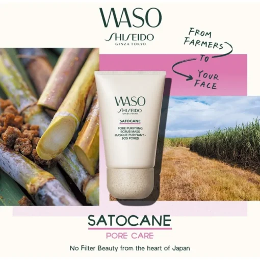 WASO Satocane Pore Purifying Scrub Mask von Shiseido